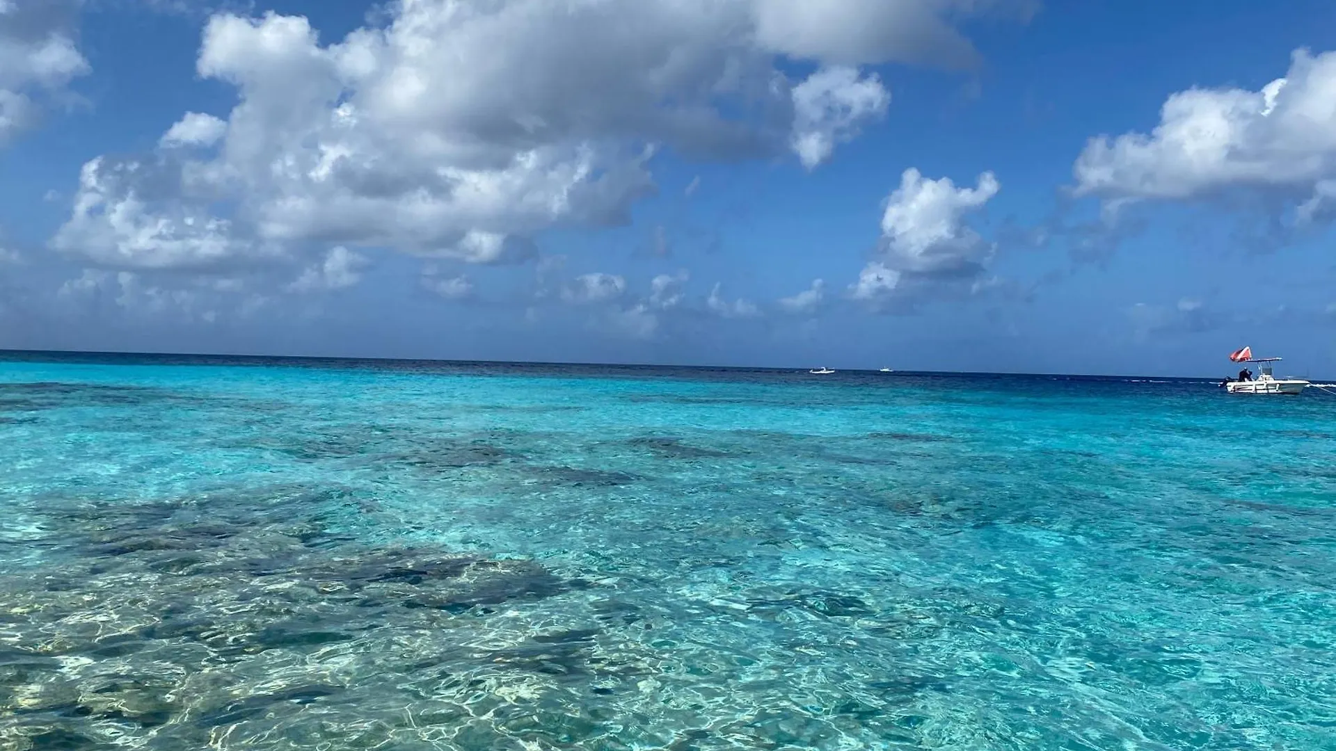 Ferienwohnung Club Nautico #6 Playa 0*,  Bonaire, Sint Eustatius und Saba